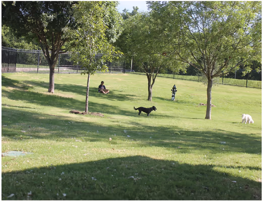 Dog Park at White Rock Lake Park photo 1